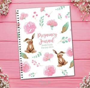 twin pregnancy journal book with rabbits
