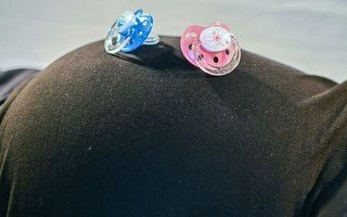 twin gender reveal