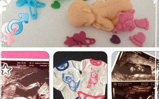 twin gender reveal