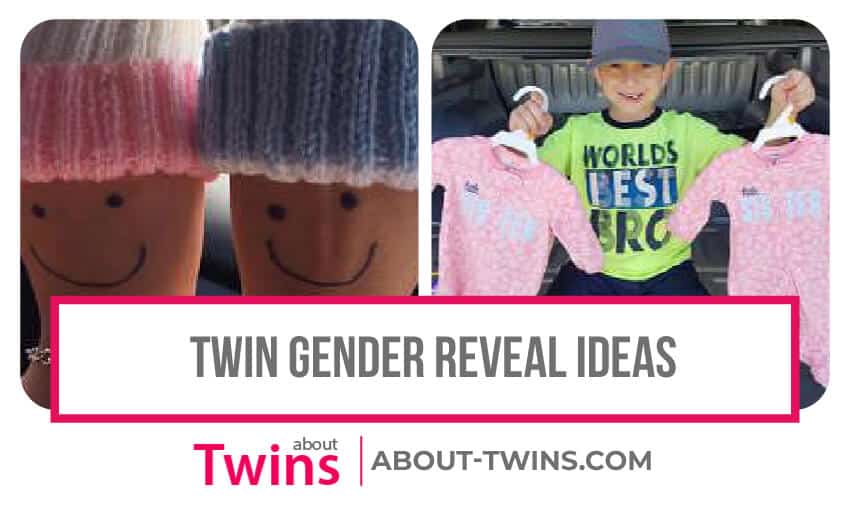 A collection of twin gender reveal ideas.