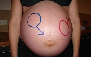 twin gender reveal