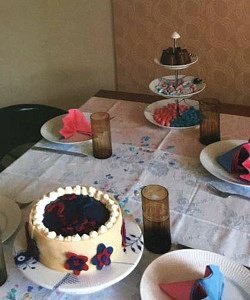 twin gender reveal