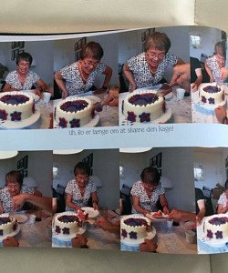 twin gender reveal