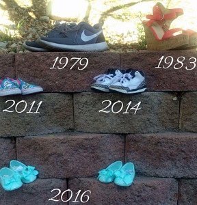 twin gender reveal