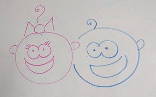 twin gender reveal