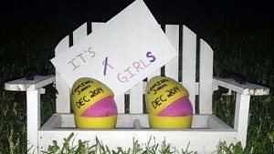 twin gender reveal eggs